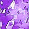 BusinessMail Email Server + Anti Spam System icon