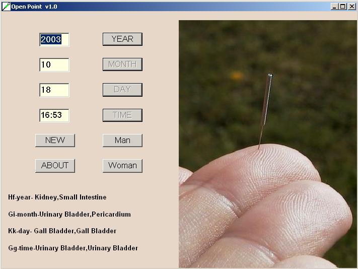 Acupuncture open point Screenshot